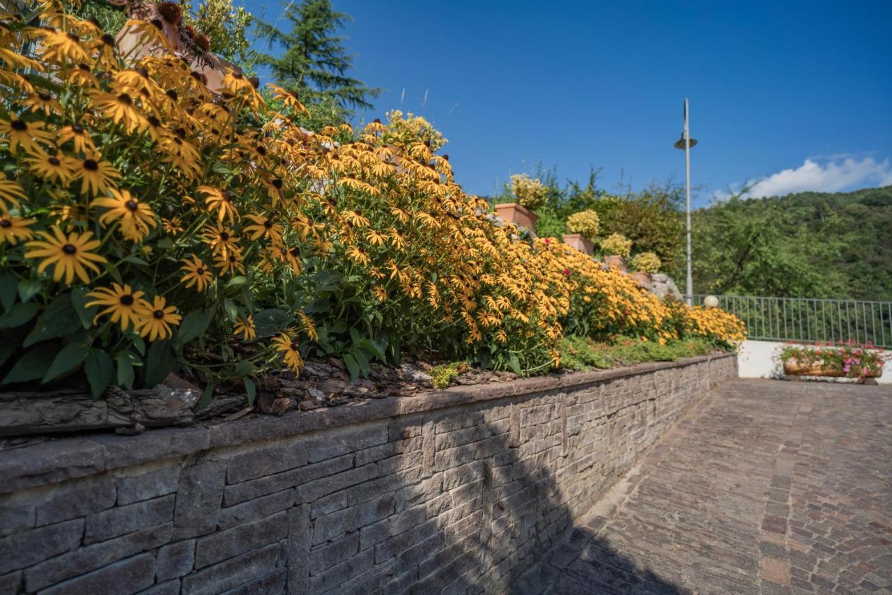 B&B Nonno Carlo Trento Kültér fotó