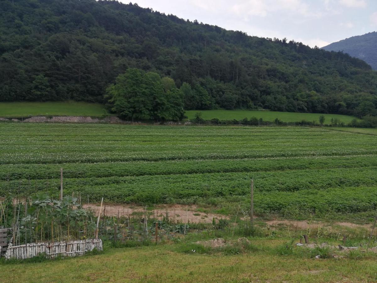 B&B Nonno Carlo Trento Kültér fotó