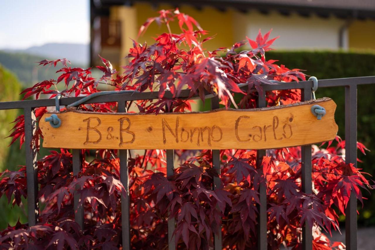 B&B Nonno Carlo Trento Kültér fotó