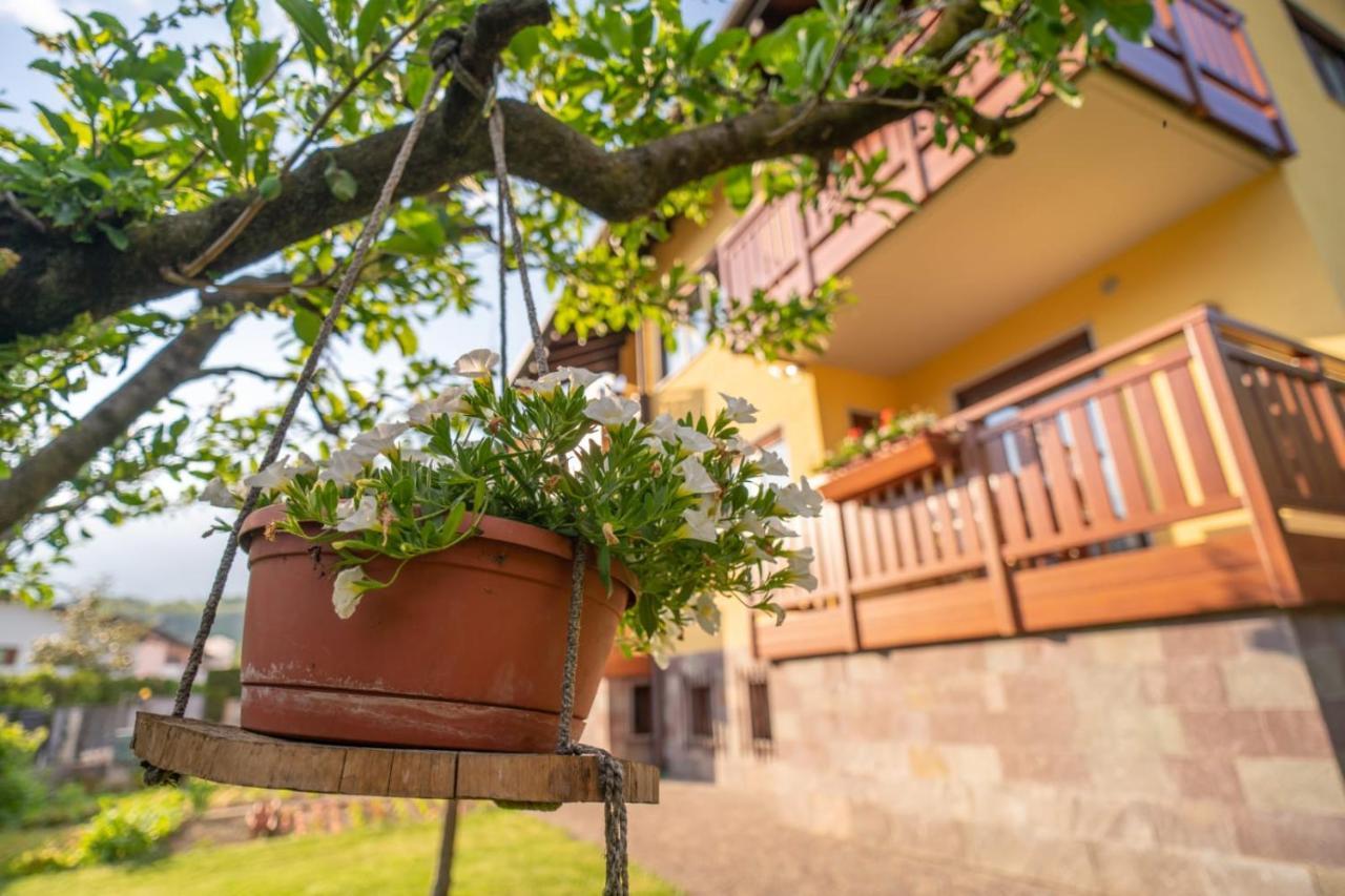 B&B Nonno Carlo Trento Kültér fotó